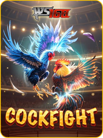 cockfight